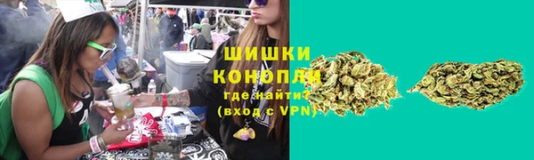 трава Аркадак