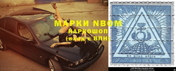 трава Аркадак