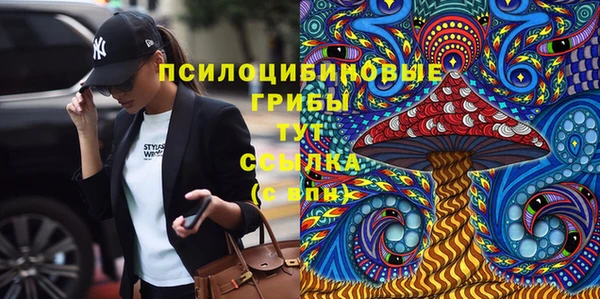 трава Аркадак