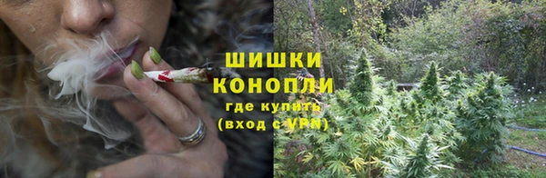 трава Аркадак