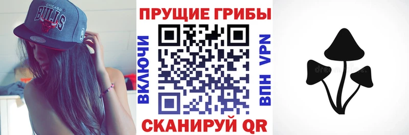 Галлюциногенные грибы Psilocybe  Остров 